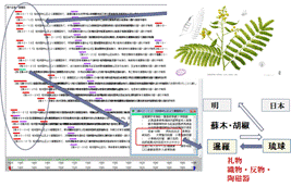 HuTimeの事例